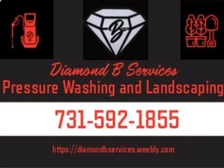 Avatar for Diamond B Services