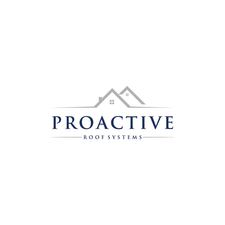 Avatar for ProActive Roof Systems and Construction, LLC