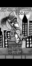 Avatar for Parkhurst Chimney Service and Repairs