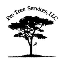 Pro Tree Services, LLC logo
