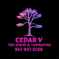 Avatar for Cedar V Tree Service & Landscaping