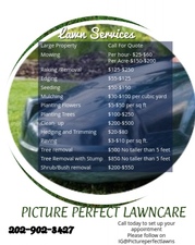 Logo for Picture Perfect Lawns