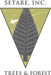 Setare Trees Inc. logo