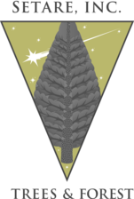Logo for Setare Trees Inc.