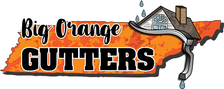 Avatar for Big Orange Gutters