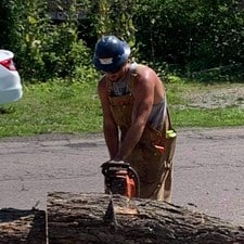 Avatar for XPR Tree Service