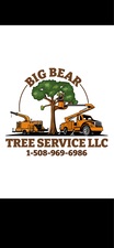 Avatar for Big Bear Tree Service LLC