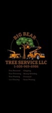 Avatar for Big Bear Tree Service LLC