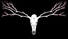 Avatar for Bone and Burl Woodworking, LLC