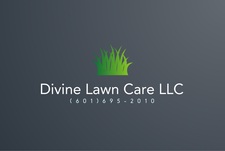 Avatar for Divine Lawn Care, LLC