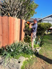 Avatar for Handyman Labor Services- License Not Yet Provided