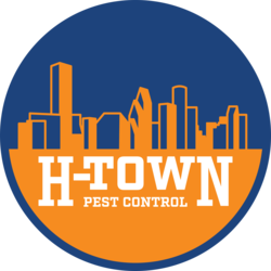 H-Town Home Services logo