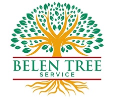 Logo for Belen Tree Service