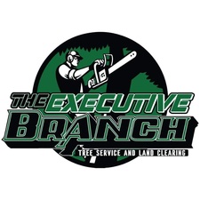 Logo for The Executive Branch LLC