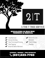 Logo for 2 The T Tree Service LLC