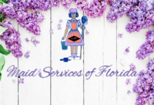 Logo for Maid Services of Florida