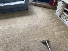 Avatar for Wills Carpet Cleaning