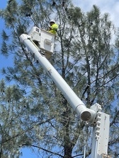 Avatar for Mendoza Tree Service, LLC- Unlicensed Contractor