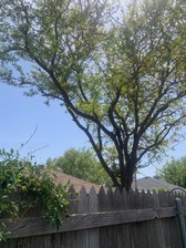 Avatar for L&K Tree Services