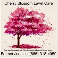 Avatar for Cherry Blossom Lawn Care