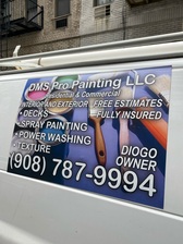 DMS Pro Painting, LLC logo