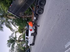 Avatar for T Saulsby Lawn Care and Tree Stump Removal