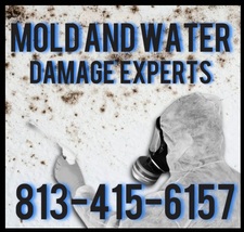 Mold and Water Damage Experts, LLC logo