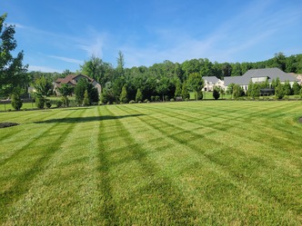 Alexander Lawncare logo