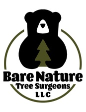 Logo for Bare Nature Tree Surgeons LLC