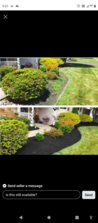 First Class Outdoor Services, LLC logo
