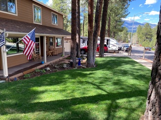 Lupine Landscaping logo