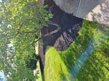 Logo for S and S Lawncare