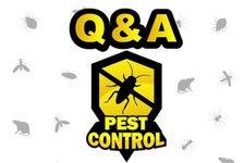 Logo for Q&A Pest Control, LLC