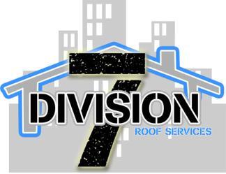 Division Seven logo
