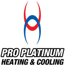 Pro Platinum, LLC logo