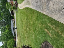 Logo for Chicosssss Landscaping