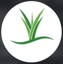 Avatar for Vision Yards