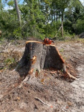 Avatar for Hart's Tree Service LLP