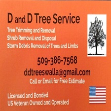 Avatar for D And D TreeService Corp