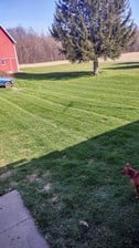 Avatar for Jake's Mowing Service