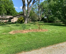 Avatar for Cutting Edge Lawn And Home Maintenance