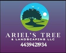 Avatar for ARIELS LANDSCAPING LIMITED LIABILITY COMPANY