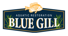 Avatar for Blue Gill Aquatic