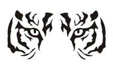 Avatar for Tiger Handyman AND Electrical Services