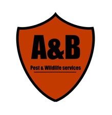 Avatar for Above and Beyond Pest and Wildlife Management LLC
