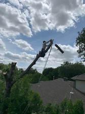 Avatar for LV Tree Services