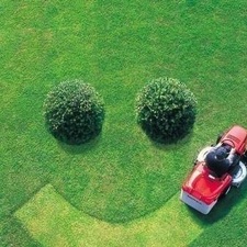 Avatar for Picture perfect lawns