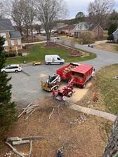 Logo for J Tree Service, LLC