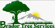 Logo for Brador Tree Service