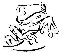 Everyday Ponds and Landscaping, LLC logo